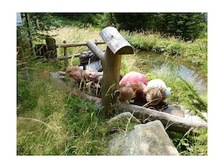 Kinder in Rauris