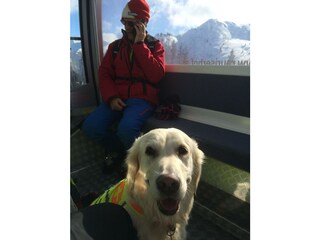 Hunde Willkommen!