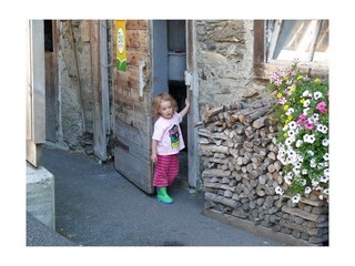 voglbachhof-ab-in-den-stall