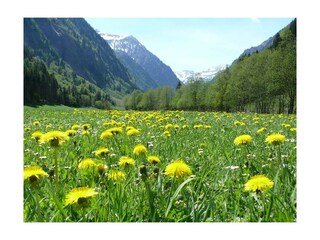 talschluss-im-frühling