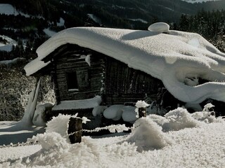 Wagner Richard Scherm viel schnee