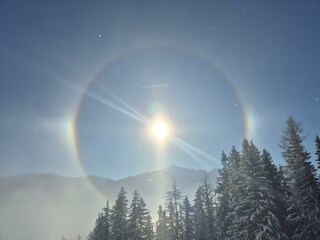 thumbnail_PHOTO-2025-02-19-09-40-55