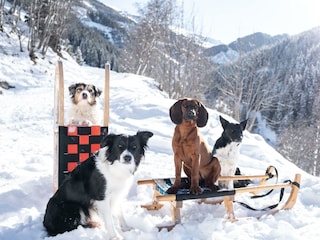 Grimming im Schnee-2-min