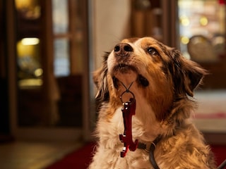 Grimming_Check in-min