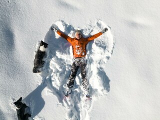 Schneeengel und Schneehunde