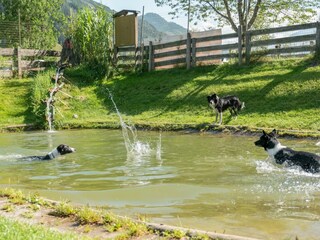 Grimming_DogCenterimsommer-min