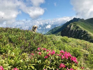 3B66EF8D-59A6-45A3-B665-45DC099C80C7