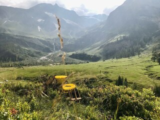 AE6F2636-4A93-4DD7-A334-80138A1F1A0F