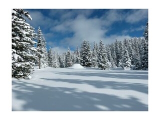 Winterlandschaft im schönen Raurisertal
