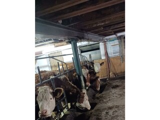 stall3