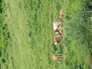 Apartment Rauris Outdoor Recording 50