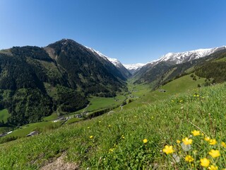 Blick Seidlwinkl