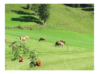 FB_IMG_1641406568263