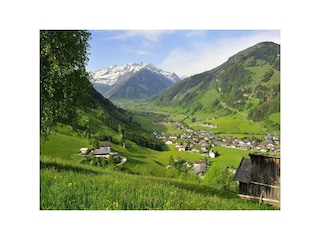 4749738261_7d202c4316_b