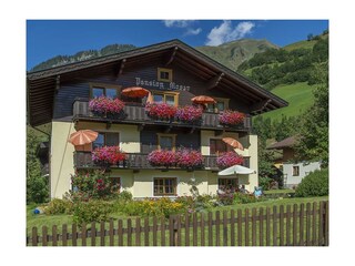 Haus Moser, Südansicht