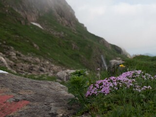 RS30_FNPHT29 © Ferienregion Nationalpark Hohe Taue