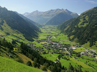 Tal Sommer