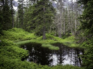 Urwald-0023_TVB Rauris (c) Bachmeier