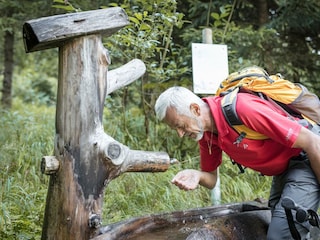 Raurisertal_Tal der Quellen(c)TVB Rauris Fotograf