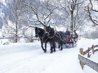 Pferdeschlittenfahrt(C)TVB Rauris_Fotograf Florian