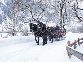 Pferdeschlittenfahrt(C)TVB Rauris_Fotograf Florian