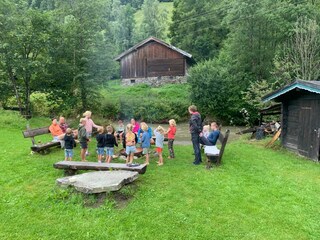 d360a1e5-f64f-4598-bf4e-c346f1345fad