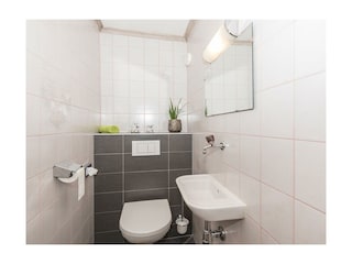 WC Wg1