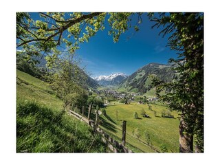 RAURIS Sommer