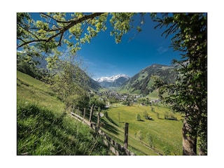 RAURIS Sommer
