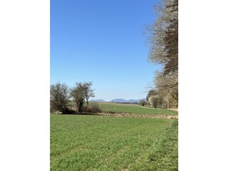 Groß (IMG_8386)