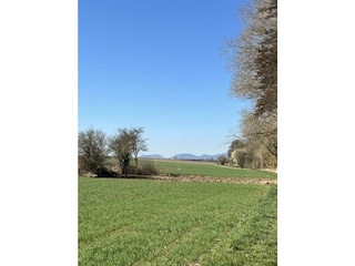 Groß (IMG_8386)