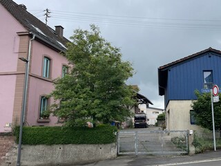 Appartamento Pirmasens Registrazione all'aperto 21