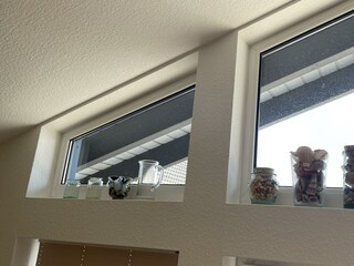 IMG_6687