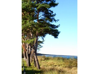 Badestrand ca. 400m entfernt