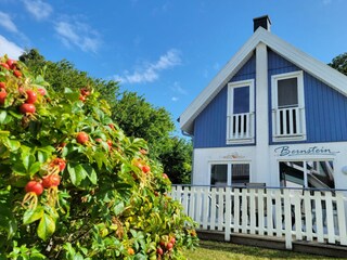 Ferienhaus mit Terrasse