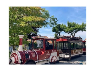 Ferienwohnung Zingst Umgebung 15