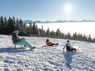 ...Rodel und Schlitten gut...
