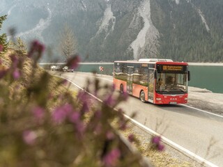 ...kostenfreier ÖPNV Bus und Bahn...