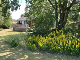 Ferienhaus Karlskrona Außenaufnahme 2