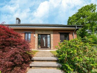 Ferienhaus Lierneux Außenaufnahme 8