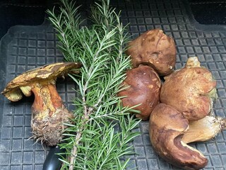 Appartement Ghiffa Omgeving 21