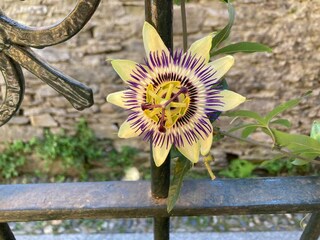 Apartamento Ghiffa  30