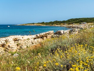 der Strand, kristallklares Meer