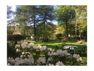 Holiday apartment Waltersdorf Outdoor Recording 22