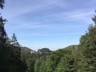 Holiday apartment Waltersdorf Environment 29