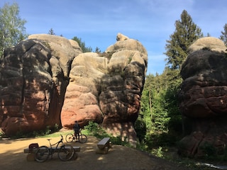 Holiday apartment Waltersdorf Environment 30