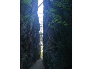 Holiday apartment Waltersdorf Environment 32