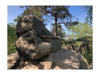 Holiday apartment Waltersdorf Environment 34