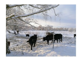 Winterlandschaft