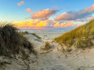 Ferienhaus Løkken  17